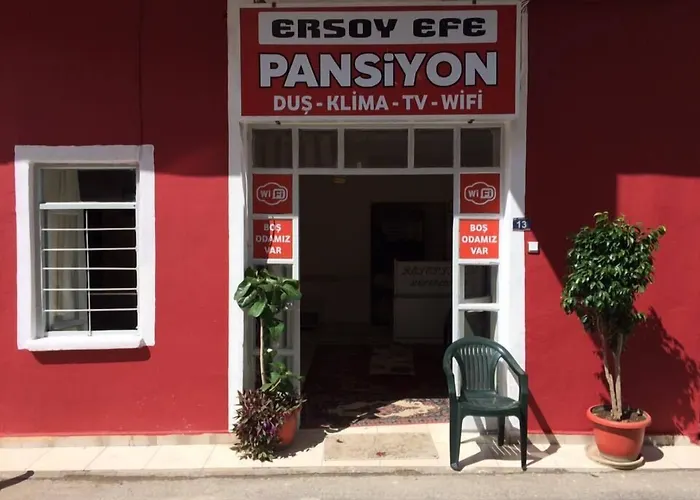 Ersoy Efe *