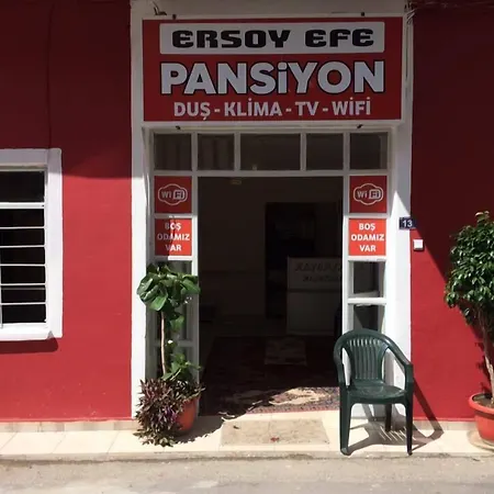 Ersoy Efe *